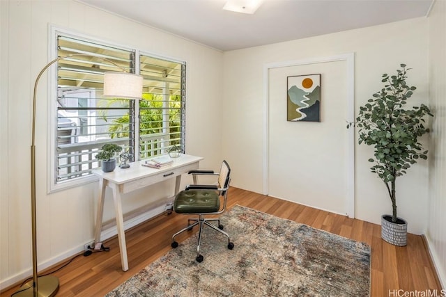 office featuring wood finished floors