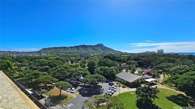 birds eye view of property with a mountain view