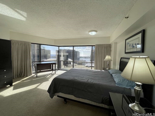 bedroom featuring a city view, carpet floors, and a textured ceiling