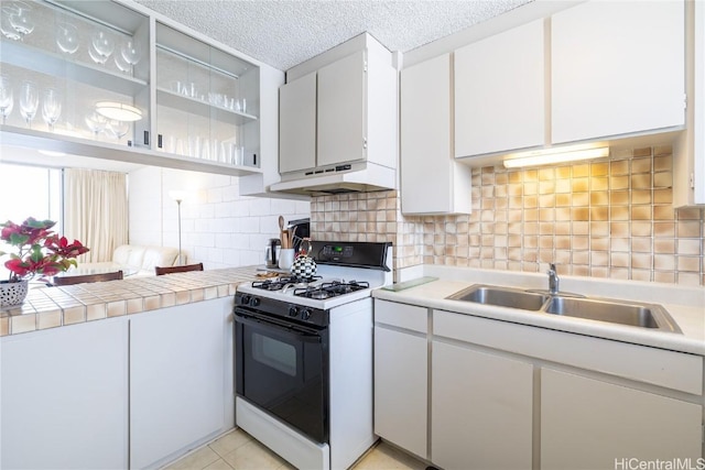 kitchen featuring under cabinet range hood, gas stove, tasteful backsplash, and a sink