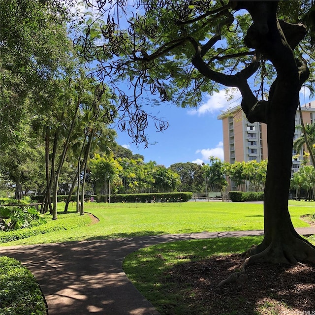 1519 Nuuanu Ave Unit 142, Honolulu, HI 96817 - surrounding community with a yard