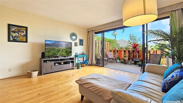 living room with hardwood / wood-style flooring