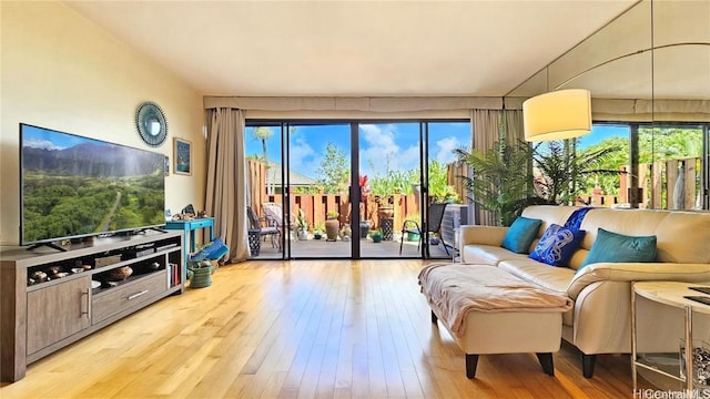 living room with wood-type flooring and a healthy amount of sunlight