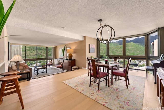 dining space featuring a wall of windows, wood finished floors, a mountain view, and a healthy amount of sunlight