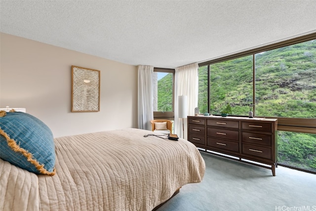 bedroom with carpet and a textured ceiling