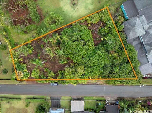 1668 Eames St, Wahiawa, HI 96786 - photo 3