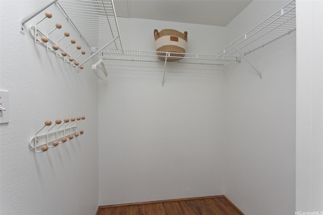 spacious closet featuring wood finished floors