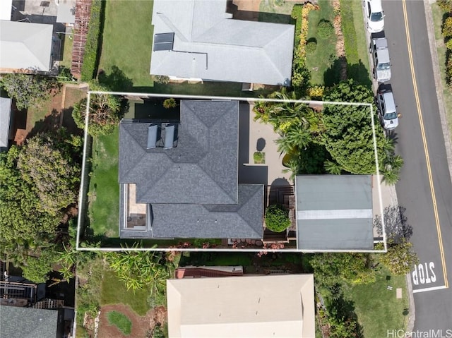 drone / aerial view