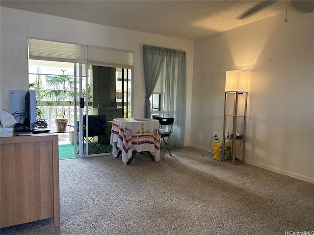94-203 Paioa Pl Unit P201, Waipahu, HI 96797 - carpeted living area with healthy amount of natural light and a textured ceiling
