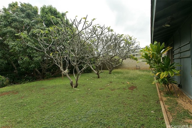 view of yard featuring fence