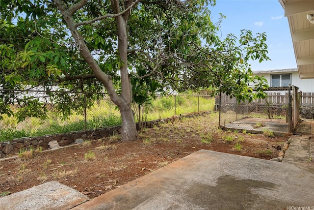 view of yard with a fenced backyard and a patio