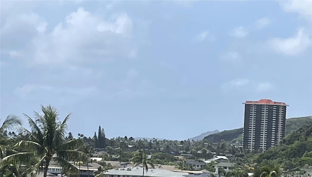6770 Hawaii Kai Dr Unit 409, Honolulu, HI 96825 - view of city