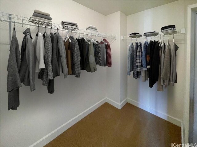91-1510 Kaikohola St Unit D4, Ewa Beach, HI 96706 - spacious closet featuring carpet flooring