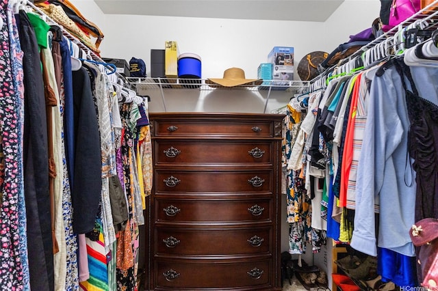view of walk in closet