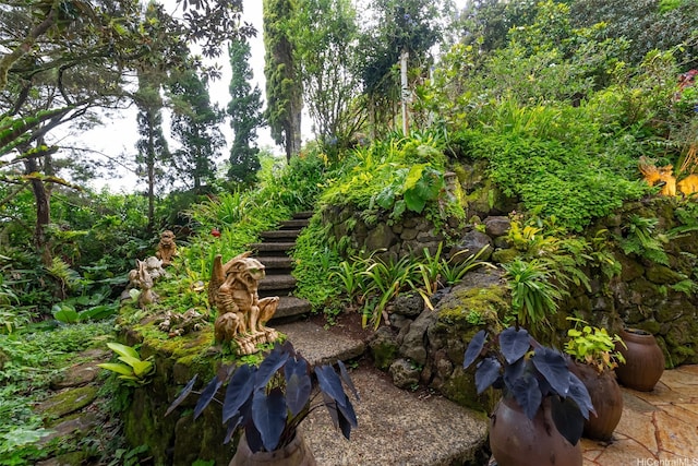 156 Forest Ridge Way, Honolulu, HI 96822 - view of local wilderness