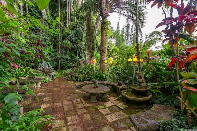 156 Forest Ridge Way, Honolulu, HI 96822 - view of patio