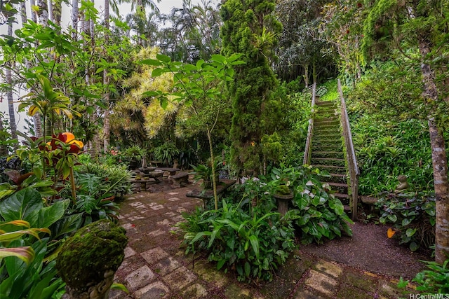 156 Forest Ridge Way, Honolulu, HI 96822 - view of yard featuring stairway