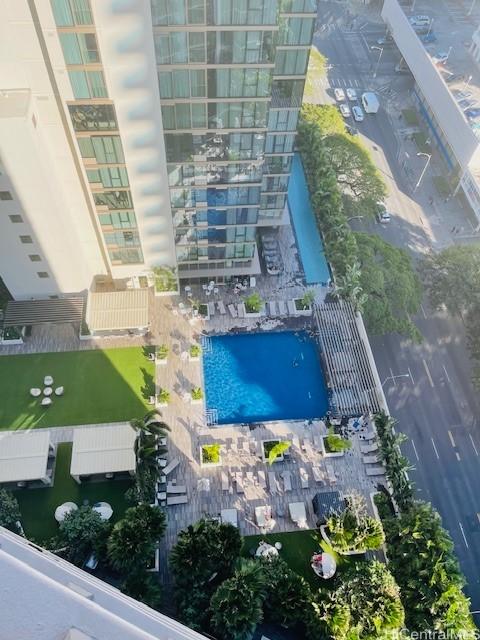 bird's eye view
