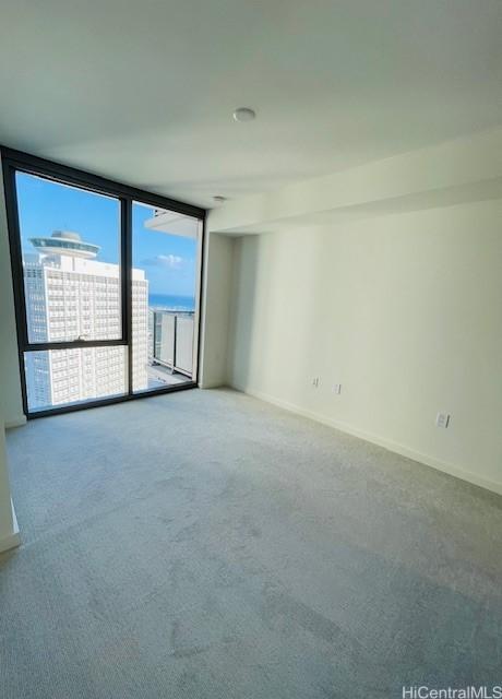 unfurnished room featuring expansive windows, baseboards, and carpet