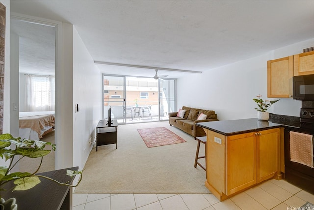 430 Kaiolu St Unit 607, Honolulu, HI 96815 - living area with light carpet, a ceiling fan, and light tile patterned floors