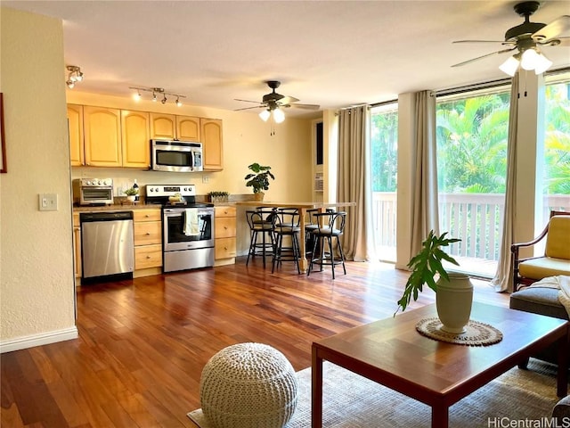 living area featuring floor to ceiling windows, a ceiling fan, rail lighting, baseboards, and dark wood-type flooring