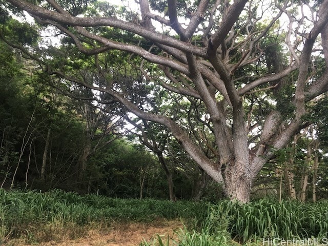 0000 Kamehameha Hwy Lot 38, Haleiwa, HI 96712 - photo 18