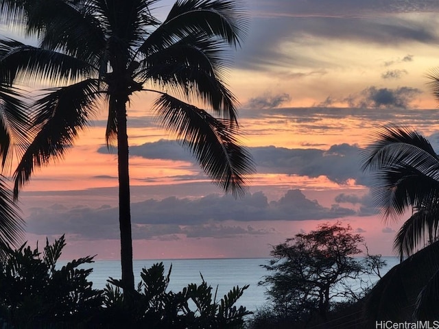 84-680 Kili Dr Unit C810, Waianae, HI 96792 - property view of water