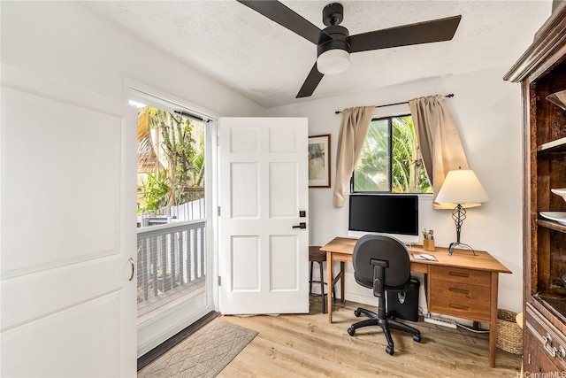 68-037 Apuhihi St Unit B, Waialua, HI 96791 - office space featuring light wood-style flooring and a ceiling fan