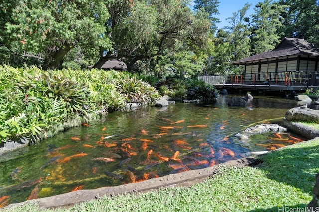 1511 Nuuanu Ave Unit 922, Honolulu, HI 96817 - view of yard