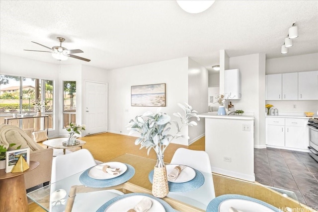 91-490 Puamaeole St Unit 46C, Ewa Beach, HI 96706 - dining space with a textured ceiling, ceiling fan, rail lighting, and baseboards