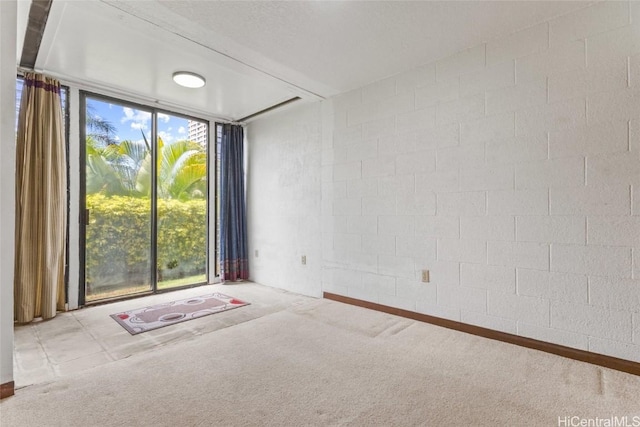 spare room featuring carpet flooring and a healthy amount of sunlight