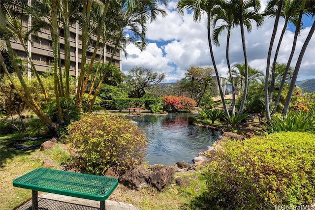 view of water feature