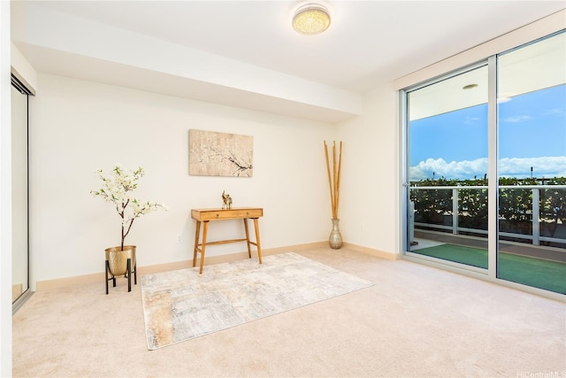 interior space with baseboards and carpet