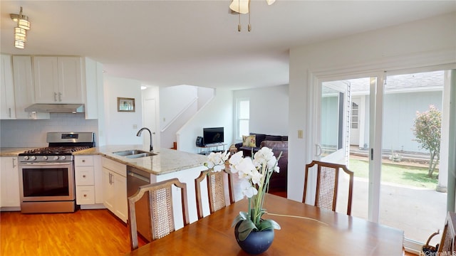 kitchen featuring a sink, stainless steel appliances, under cabinet range hood, white cabinetry, and backsplash