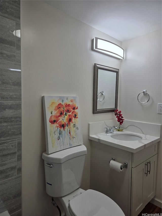 bathroom with toilet and vanity