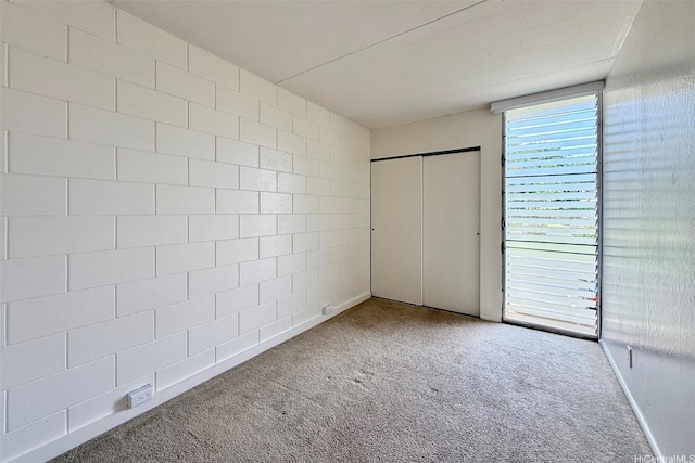unfurnished bedroom featuring carpet flooring and a closet