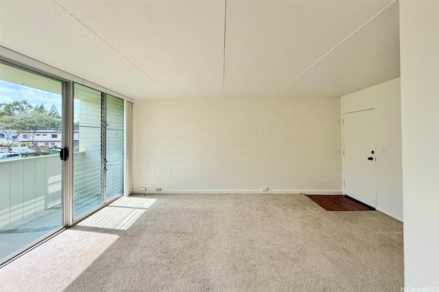 unfurnished room with carpet