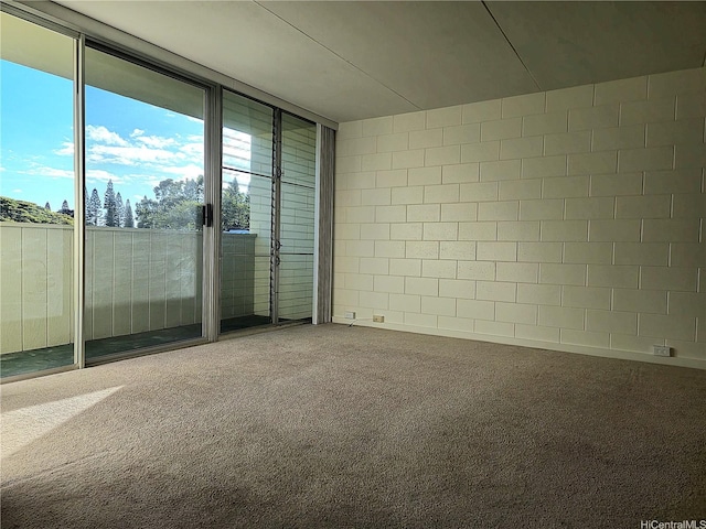 empty room featuring carpet