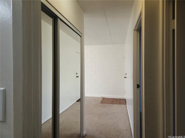 hallway with tile walls and carpet