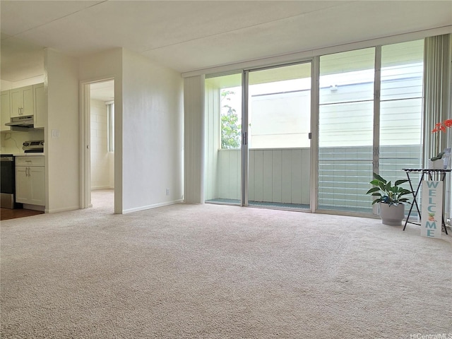 95-029 Kuahelani Ave Unit 331, Mililani, HI 96789 - unfurnished living room featuring carpet flooring