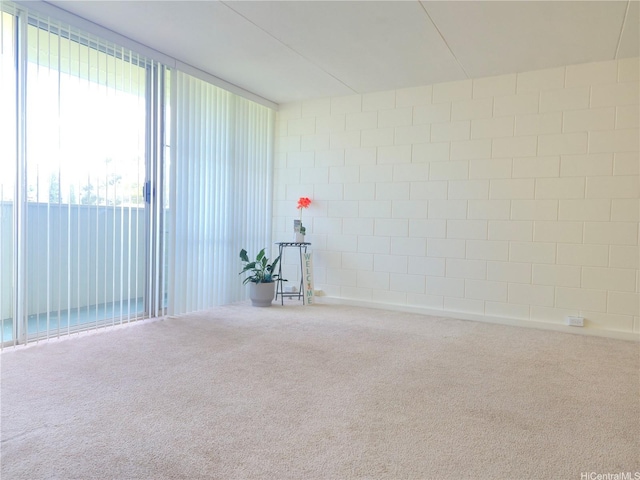 95-029 Kuahelani Ave Unit 331, Mililani, HI 96789 - unfurnished room featuring carpet flooring