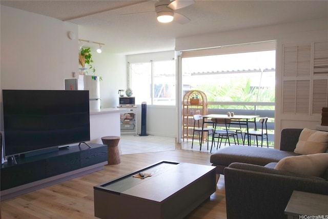 1330 Wilder Ave Unit 314, Honolulu, HI 96822 - living room featuring a ceiling fan, rail lighting, and light wood-type flooring
