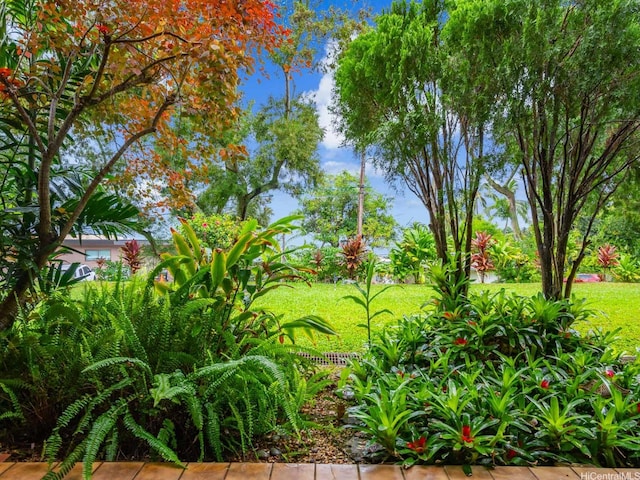 46-109 Konohiki St Unit 3913, Kaneohe, HI 96744 - view of yard