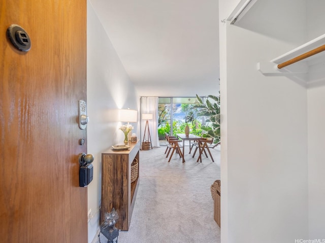 46-109 Konohiki St Unit 3913, Kaneohe, HI 96744 - hallway with carpet floors