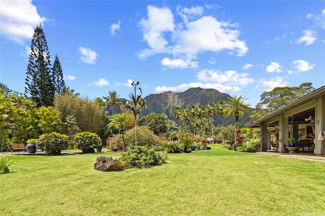 view of yard with a patio area and a mountain view