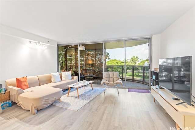 415 S St Unit 302, Honolulu, HI 96813 - living room featuring a wall of windows, wood finished floors, and rail lighting