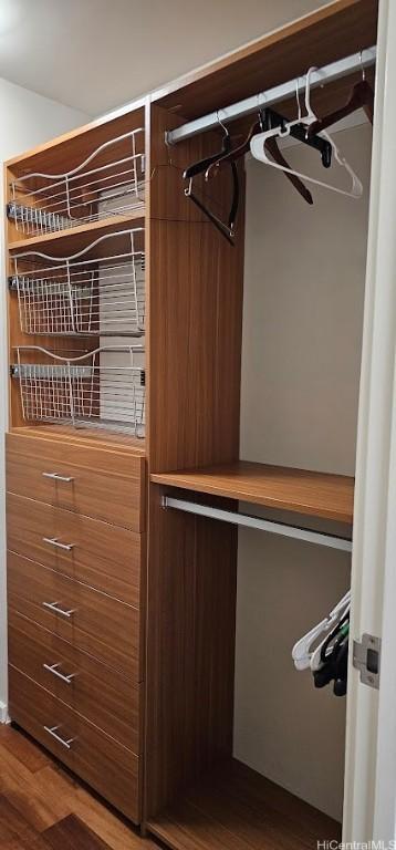 spacious closet featuring wood finished floors