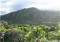 53-549 Kamehameha Hwy Unit 514, Hauula, HI 96717 - mountain view