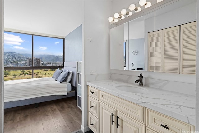 ensuite bathroom featuring vanity, wood finished floors, a mountain view, and ensuite bathroom
