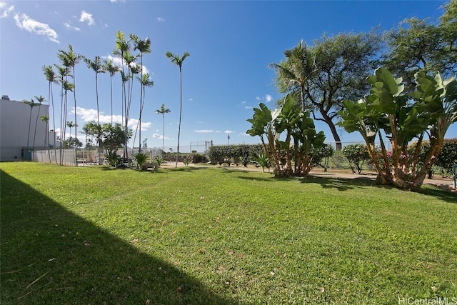 85-175 Farrington Hwy Unit C107, Waianae, HI 96792 - view of yard
